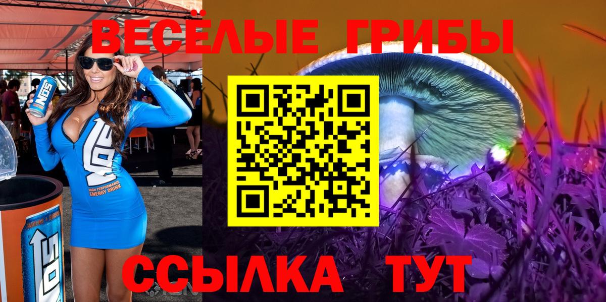 Псилоцибиновые грибы Psilocybe  Вход с VPN  Дюртюли  Галлюциногенные грибы Psilocybine cubensis 